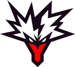 Team Yandex