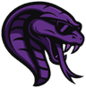 Team Cobra